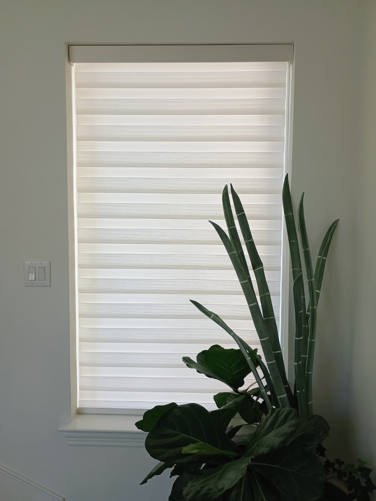 557599678_122152392392766481_8137154270156775868_n