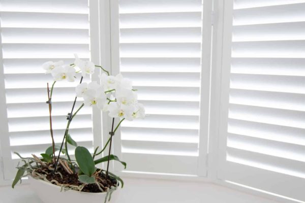 iStock-1137063276-1920x1000